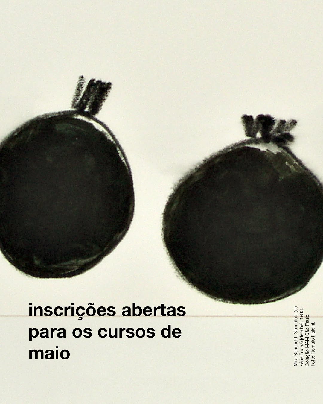 Textos de artista: um estudo prático, com Raphaela Melsohn e Maíra Dietrich