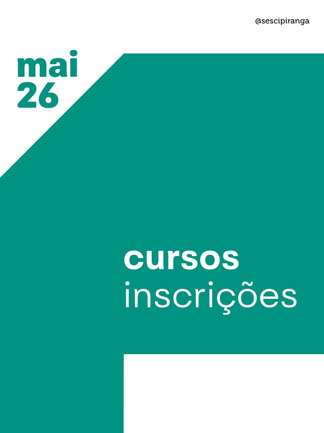 Observação de Aves