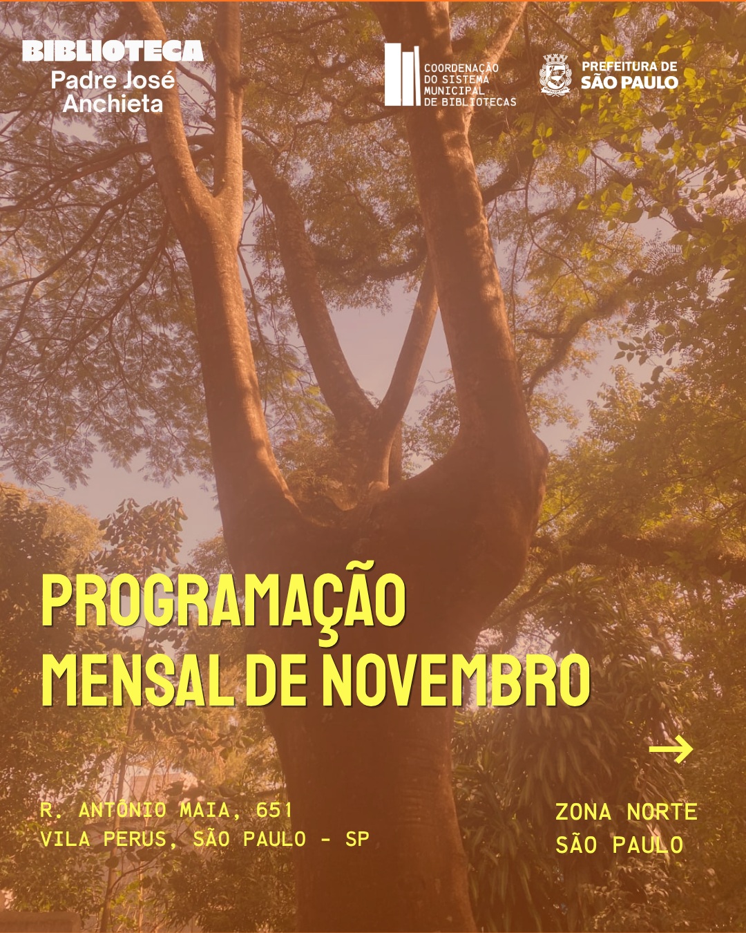 Bora Jogar Perus — Jogos de Tabuleiro Modernos — Biblioteca Pe José de Anchieta, Perus, São Paulo