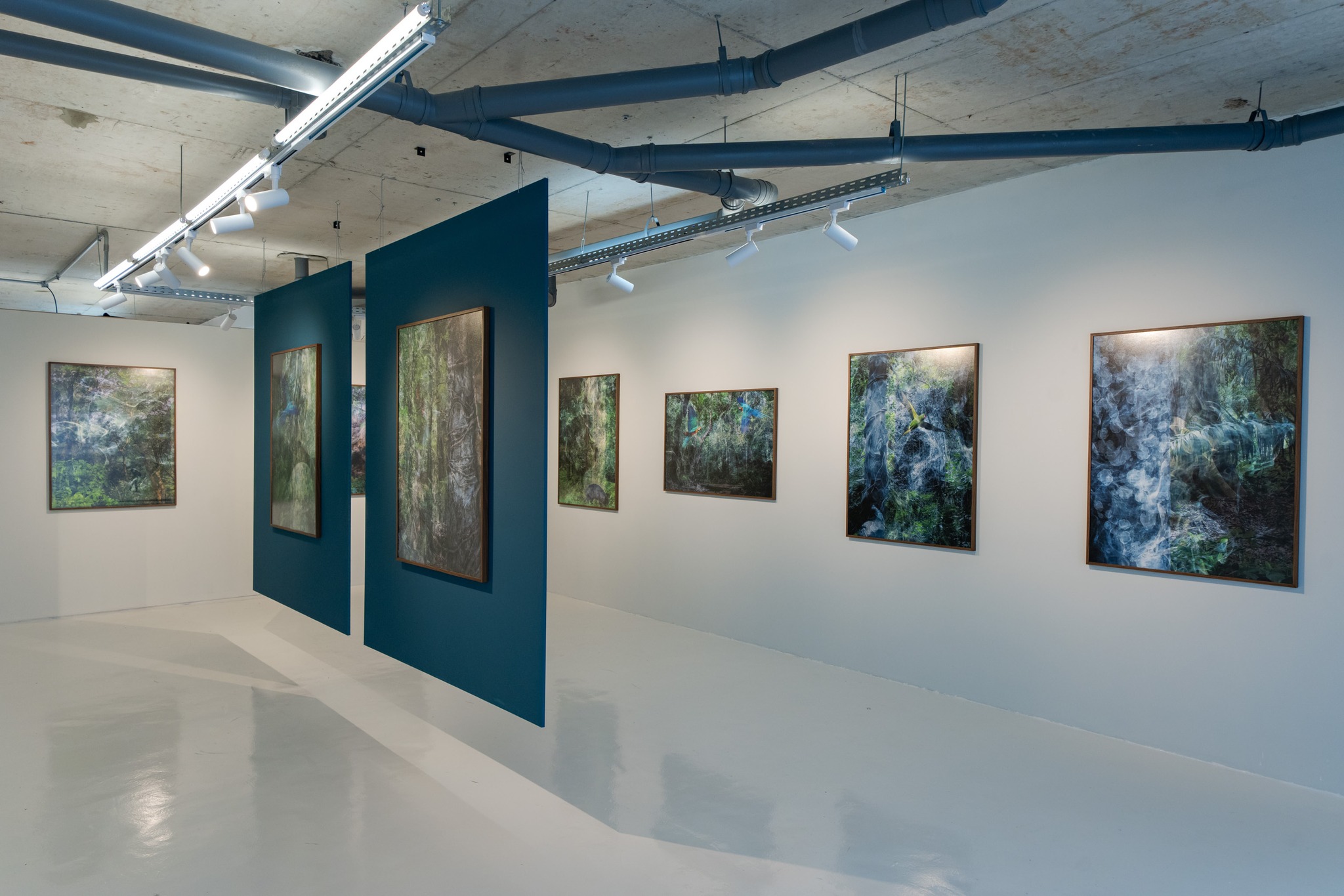 FOGO-FÁTUO - Exposição de Sandra Gonçalves