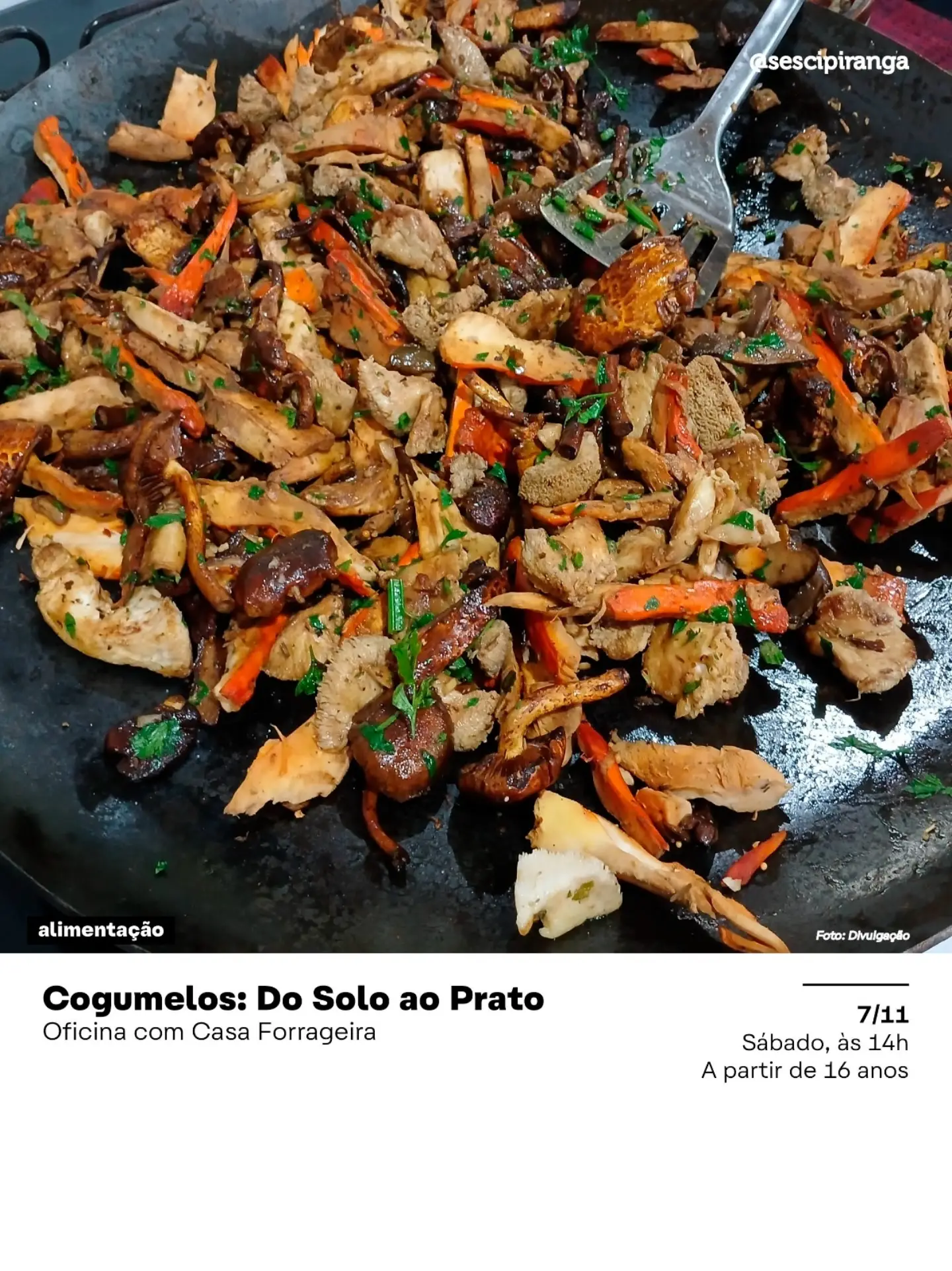 Cogumelos: Do Solo ao Prato — Sesc Ipiranga, Ipiranga, São Paulo