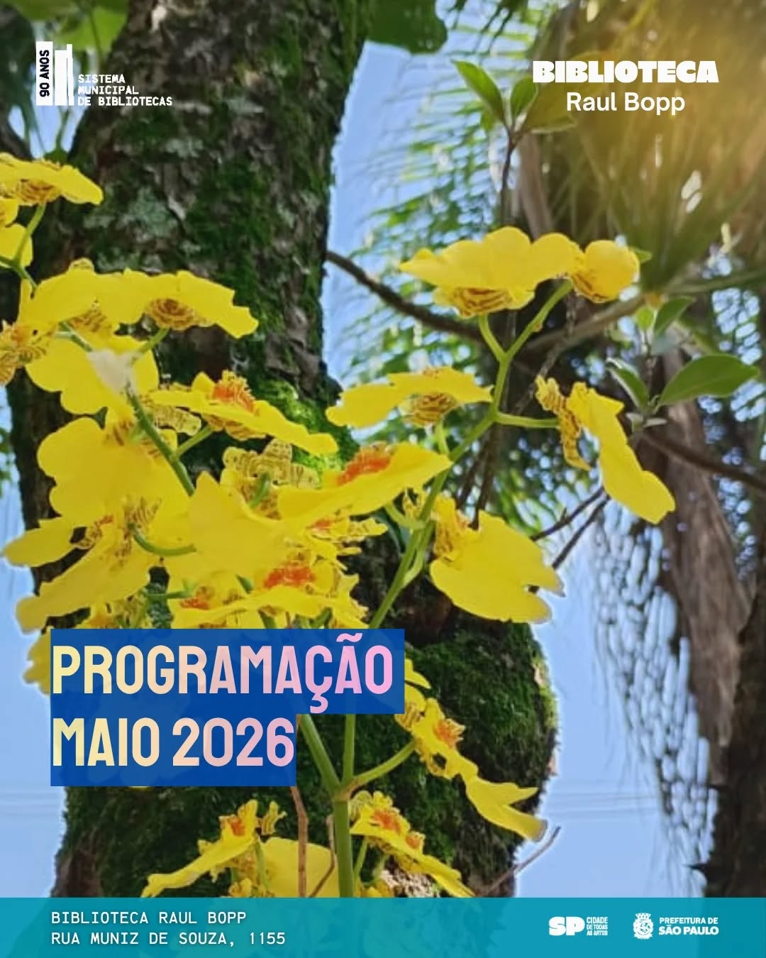 Encontros de Brincar e Celebrar no Parque — Biblioteca Raul Bopp, São Paulo