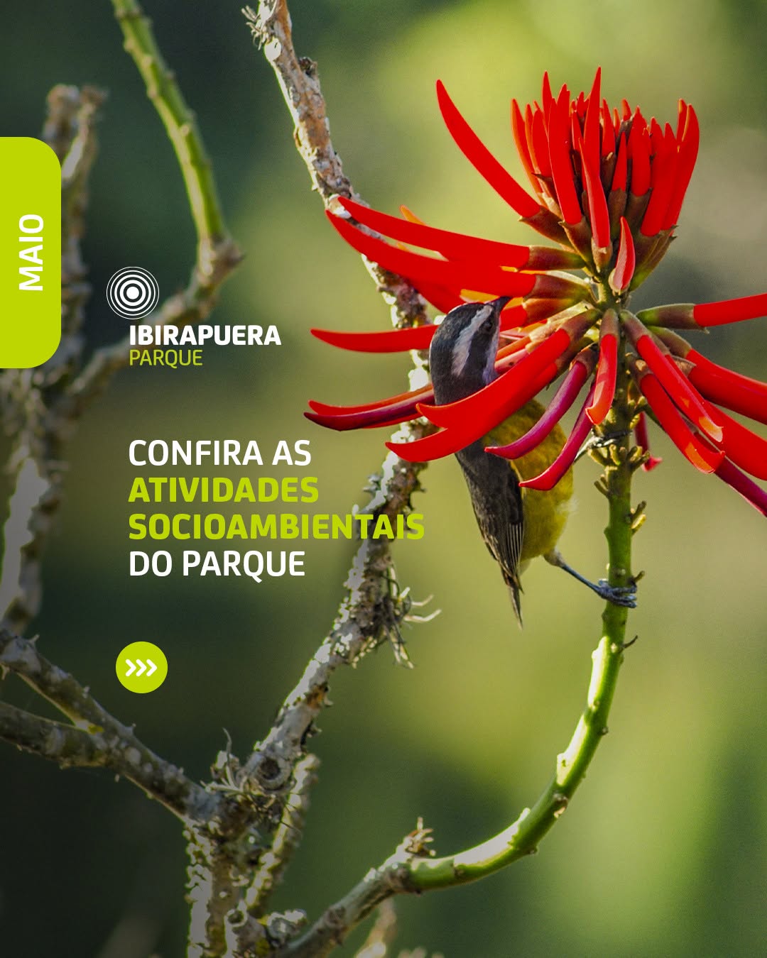 Programação Especial de Atividades Socioambientais — Parque Ibirapuera Oficial, Vila Mariana, São Paulo