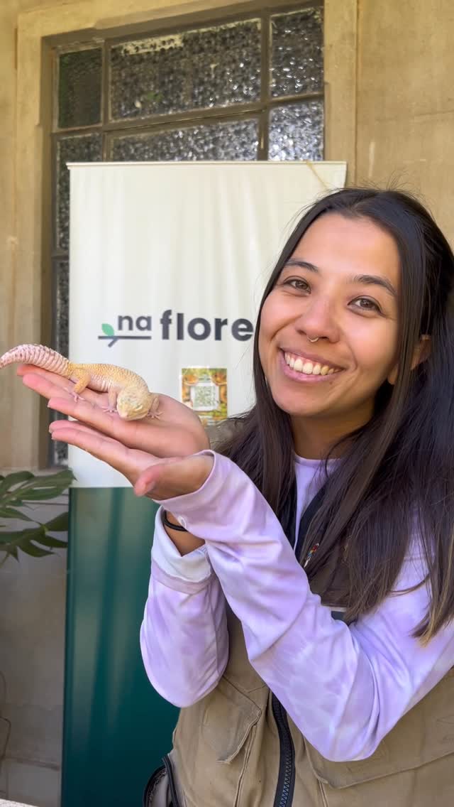 Visita Especial AVISTAR - Jardim Botânico de São Paulo — Na Floresta, Itaim Bibi, São Paulo